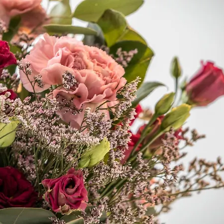 Lejlighed Nuvola 5th Floor *